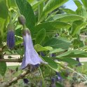Picasa 2.7